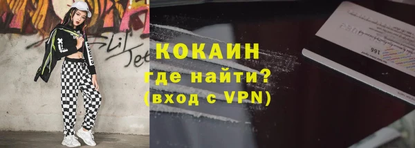 шишки Алексин