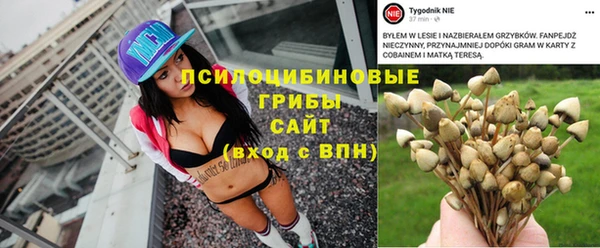 альфа пвп Алексеевка