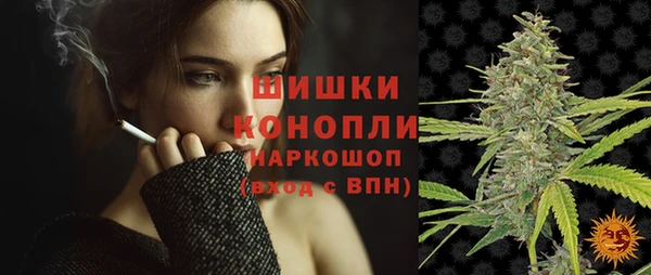 шишки Алексин