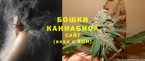 шишки Алексин