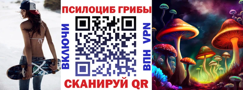 Псилоцибиновые грибы Cubensis  Анжеро-Судженск 