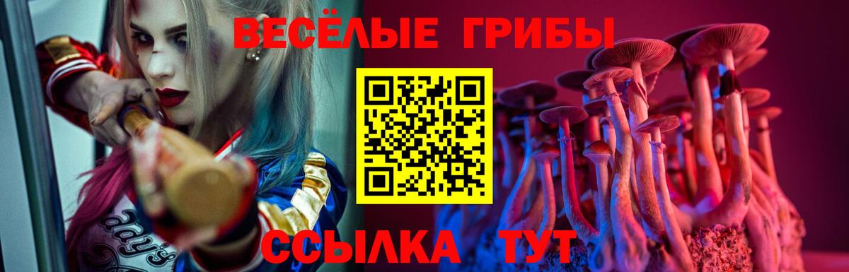 Псилоцибиновые грибы GOLDEN TEACHER Анжеро-Судженск